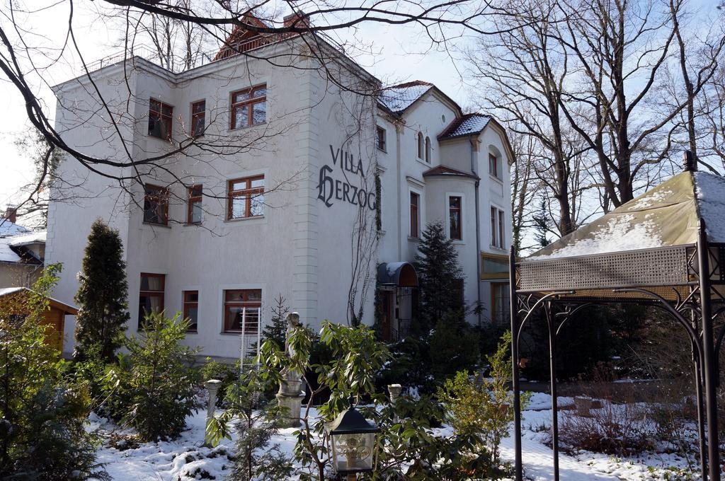 Hotel Villa Herzog Dresda Exterior foto